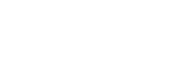 Logo Partner Bronze